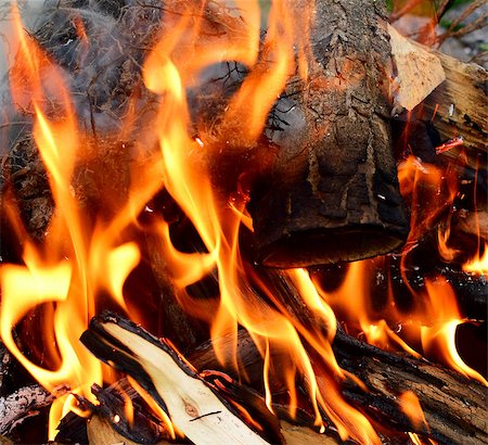 simsearch:614-03763965,k - Detail of fire flames and wood background Stock Photo - Budget Royalty-Free & Subscription, Code: 400-07662795