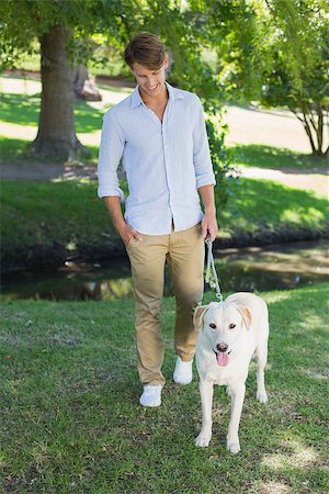 sun dogs - Handsome smiling man walking his labrador in the park on a sunny day Stock Photo - Budget Royalty-Free & Subscription, Code: 400-07663766