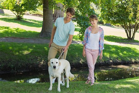 sun dogs - Happy couple walking with their labrador in the park on a sunny day Stock Photo - Budget Royalty-Free & Subscription, Code: 400-07663779