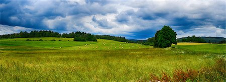 simsearch:400-03991406,k - HDR summer landscape with fields, forests, blue sky with clouds Stock Photo - Budget Royalty-Free & Subscription, Code: 400-07675155