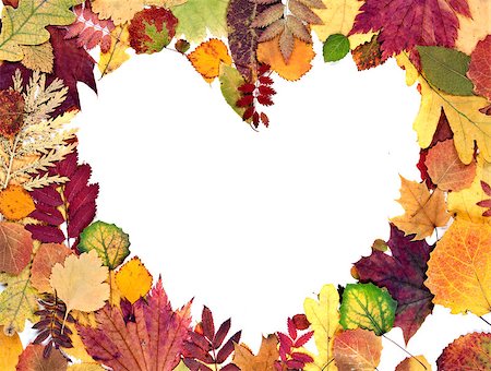 simsearch:400-06418836,k - form the heart of autumn leaves background Stock Photo - Budget Royalty-Free & Subscription, Code: 400-07675553