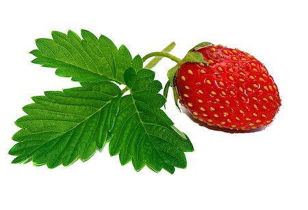 shiny juice sweet strawberries - Strawberry with leaf isolated Stock Photo - Budget Royalty-Free & Subscription, Code: 400-07677819