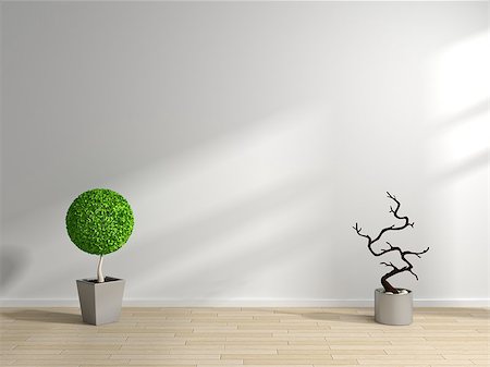 simsearch:400-05110360,k - Modern interior composition with decorative plants on laminated floor. Photographie de stock - Aubaine LD & Abonnement, Code: 400-07679984