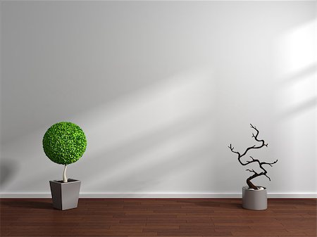 simsearch:400-05110360,k - Modern interior composition with decorative plants on laminated floor. Photographie de stock - Aubaine LD & Abonnement, Code: 400-07680000