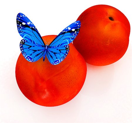 simsearch:400-06912266,k - Blue butterflys on a fresh peaches on a white background Stock Photo - Budget Royalty-Free & Subscription, Code: 400-07680444