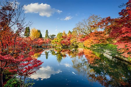 simsearch:400-06640469,k - Kyoto, Japan fall foliage at Eikando Shrine Garden. Stock Photo - Budget Royalty-Free & Subscription, Code: 400-07680771