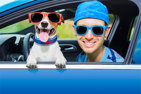 funny driver photos - dog in a car looking through window with Driving instructor Stock Photo - Budget Royalty-Free & Subscription, Code: 400-07680898