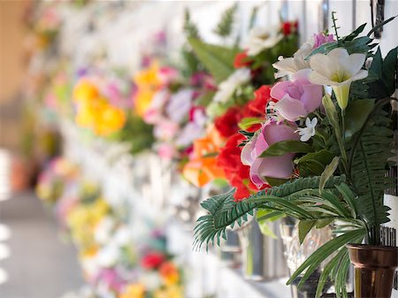 funeral flowers - Graves with flowers on a wall of a European cemetery. Vercelli, Italy, Europe. Stock Photo - Budget Royalty-Free & Subscription, Code: 400-07681456