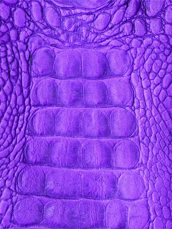 simsearch:400-04569718,k - Close up crocodile skin texture as background Stock Photo - Budget Royalty-Free & Subscription, Code: 400-07715501