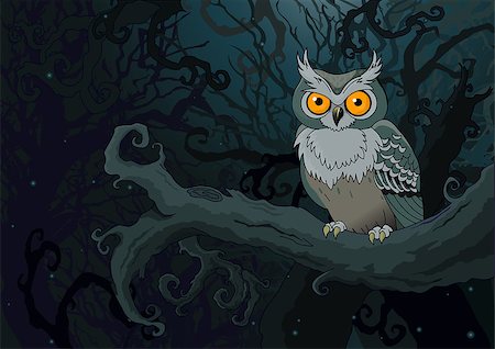 Owl sitting upon a tree branch in the ninthly background Stock Photo - Budget Royalty-Free & Subscription, Code: 400-07717298