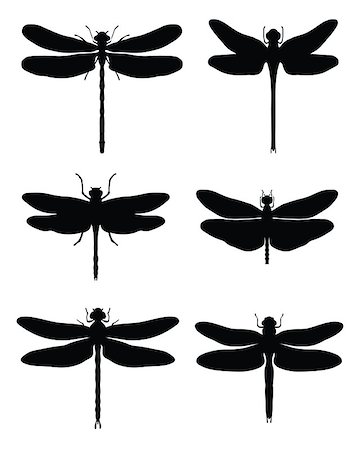 Black silhouettes of dragonflies, vector Stock Photo - Budget Royalty-Free & Subscription, Code: 400-07712992
