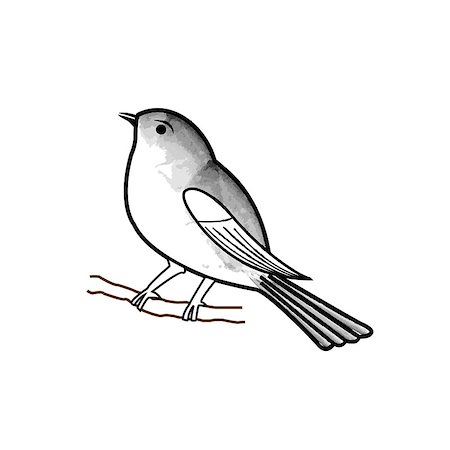 simsearch:400-07745600,k - Hand drawn bird on a twig Stock Photo - Budget Royalty-Free & Subscription, Code: 400-07749873