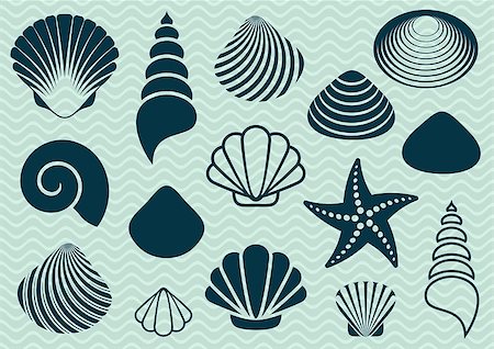simsearch:400-08646884,k - Set of various sea shells and starfish silhouettes Stock Photo - Budget Royalty-Free & Subscription, Code: 400-07757151
