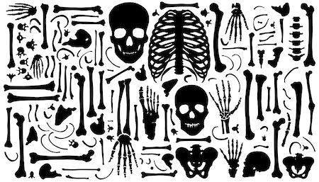 simsearch:400-06394180,k - bone silhouettes on the white background Stock Photo - Budget Royalty-Free & Subscription, Code: 400-07757976