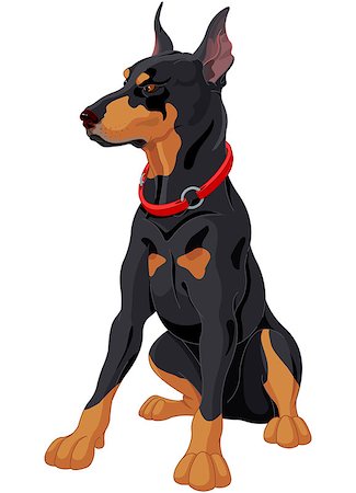 simsearch:400-05200802,k - Illustration of fully concentrated guard dog Doberman Stock Photo - Budget Royalty-Free & Subscription, Code: 400-07759956