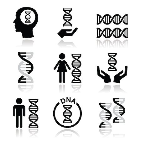 Vector icons set of DNA isolated on white Stock Photo - Budget Royalty-Free & Subscription, Code: 400-07776521