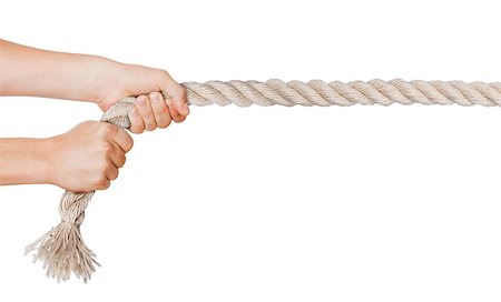 Hands pull a rope. Isolated white background Stock Photo - Budget Royalty-Free & Subscription, Code: 400-07779493