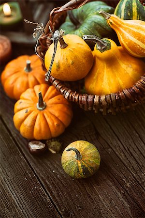 pumpkin fruit and his leafs - Autumn table setting with pumpkins.  Thanksgiving dinner and autumn decoration. Stock Photo - Budget Royalty-Free & Subscription, Code: 400-07794938