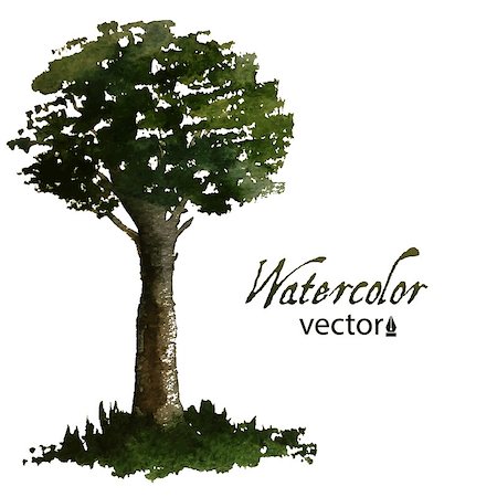 simsearch:400-05698489,k - Watercolor green tree, vector illustration for your design Stock Photo - Budget Royalty-Free & Subscription, Code: 400-07795498