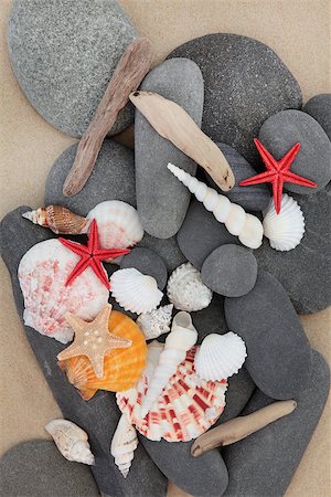 simsearch:400-05171275,k - Sea shell, driftwood and pebbles on a sand beach background. Stock Photo - Budget Royalty-Free & Subscription, Code: 400-07818427