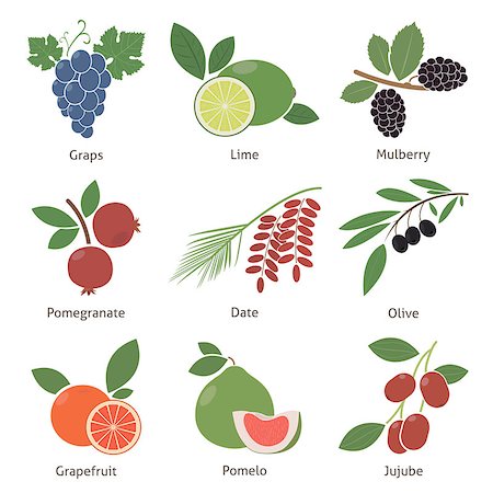 Fruits and berries. Set. Vector for your design Stock Photo - Budget Royalty-Free & Subscription, Code: 400-07819871