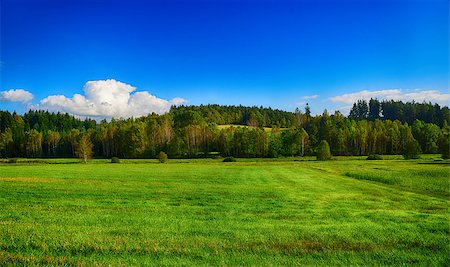 simsearch:400-03991406,k - HDR summer landscape with fields, forests, blue sky with clouds Stock Photo - Budget Royalty-Free & Subscription, Code: 400-07824450