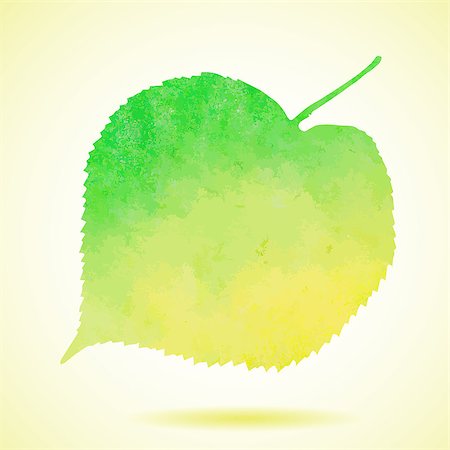 simsearch:400-05698489,k - Watercolor linden leaf isolated on white. Also available as a Vector in Adobe illustrator EPS format, compressed in a zip file. The vector version be scaled to any size without loss of quality. Stock Photo - Budget Royalty-Free & Subscription, Code: 400-07827769
