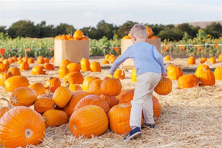active little boy having fun at pumpkin patch Stock Photo - Budget Royalty-Free & Subscription, Code: 400-07828241