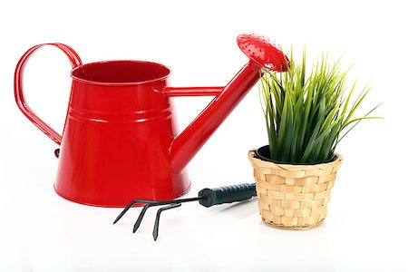 simsearch:400-05297250,k - gardening tools and grass on white background Stock Photo - Budget Royalty-Free & Subscription, Code: 400-07820088