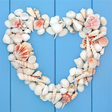 Sea shell selection forming a heart frame over wooden blue background. Stock Photo - Budget Royalty-Free & Subscription, Code: 400-07821065