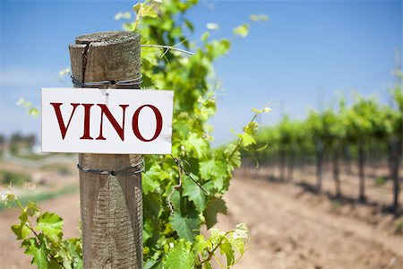 simsearch:846-05647552,k - Vino Sign On Post at the End of a Vineyard Row of Grapes. Stock Photo - Budget Royalty-Free & Subscription, Code: 400-07821884