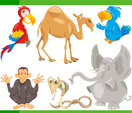 simsearch:400-04394183,k - Cartoon Illustration of Funny Wild Animals Set Stock Photo - Budget Royalty-Free & Subscription, Code: 400-07836428