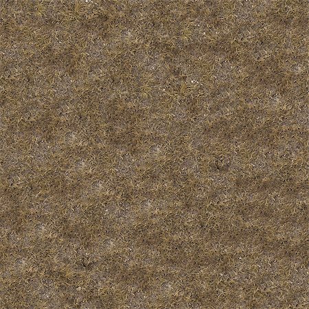 steppe - Seamless Tileable Texture of Weathered Dry Grass. Stock Photo - Budget Royalty-Free & Subscription, Code: 400-07837969