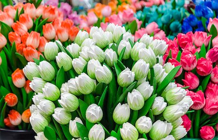 Traditional wooden colorful tulips at souvenir shop in Amsterdam, Netherlands Stock Photo - Budget Royalty-Free & Subscription, Code: 400-07830122