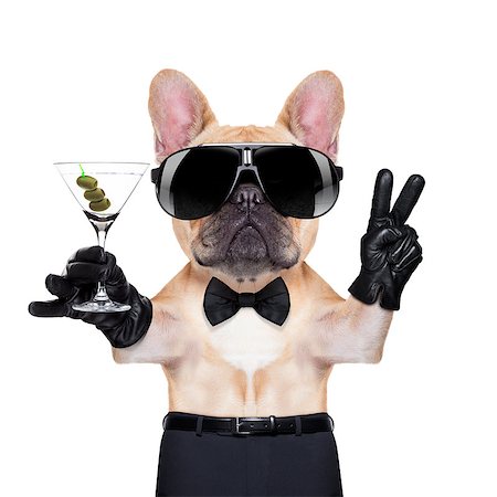 french bulldog with peace or victory fingers holding a martini , ready to toast,  isolated on white background Stock Photo - Budget Royalty-Free & Subscription, Code: 400-07832869