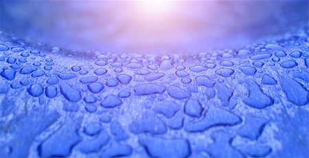 Detail of water drops and sunshine. Surface after rain. Blue background. Stock Photo - Budget Royalty-Free & Subscription, Code: 400-07916204