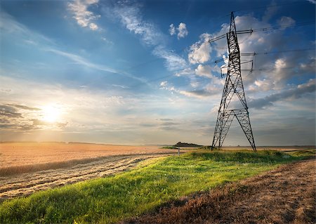 Electric pole in the autumn field at sunrise Stock Photo - Budget Royalty-Free & Subscription, Code: 400-07923865