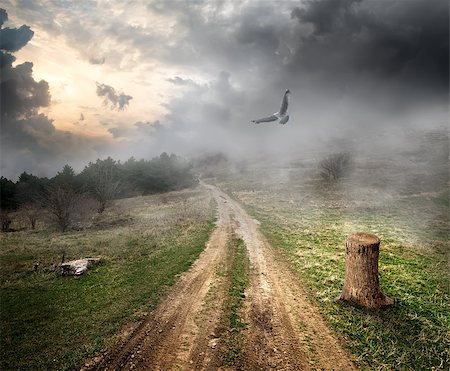 road cutting - Bird over country road and storm clouds Foto de stock - Super Valor sin royalties y Suscripción, Código: 400-07923861