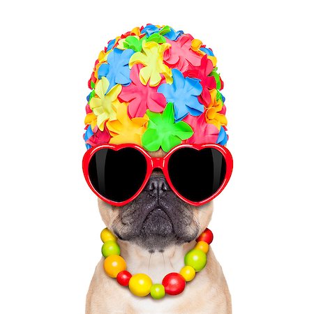 simsearch:400-08164465,k - fawn french bulldog dog ready for summer vacation or holidays, wearing sunglasses, isolated on white background Stock Photo - Budget Royalty-Free & Subscription, Code: 400-07976040