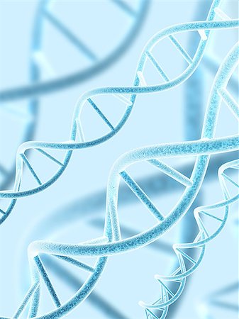 dna helix - Digital 3d model of DNA structure Stock Photo - Budget Royalty-Free & Subscription, Code: 400-07972296