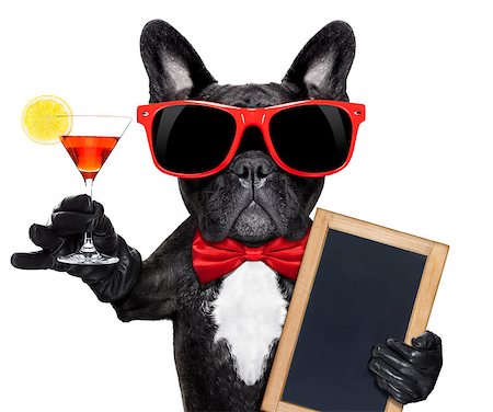 french bulldog dog holding martini cocktail glass ready to have fun and party,holding a blank blackboard, isolated on white background Stock Photo - Budget Royalty-Free & Subscription, Code: 400-07986038