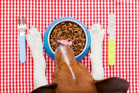 full dog food bowl with knife and fork on tablecloth,paws and head of a dog Stock Photo - Budget Royalty-Free & Subscription, Code: 400-07988895