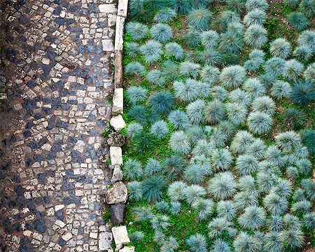 Cobbled Road and Green Plants in San Giorgio Fortress in Lisbon, Portugal Stock Photo - Budget Royalty-Free & Subscription, Code: 400-07981188