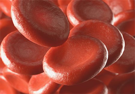 Red blood cells moving in blood vessels with depth of field. Stock Photo - Budget Royalty-Free & Subscription, Code: 400-07994819