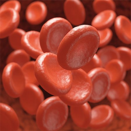 Red blood cells moving in blood vessels with depth of field. Stock Photo - Budget Royalty-Free & Subscription, Code: 400-07994890