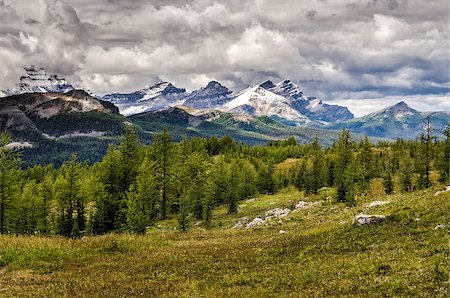 simsearch:400-07823385,k - Wild landscape mountain range view, Banff national park, Alberta, Canada Stock Photo - Budget Royalty-Free & Subscription, Code: 400-07994974