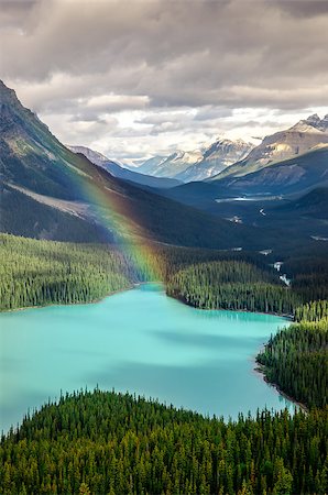 simsearch:400-07823385,k - Scenic mountain view of Peyto lake, Canadian Rockies, Alberta, Canada Stock Photo - Budget Royalty-Free & Subscription, Code: 400-07994976