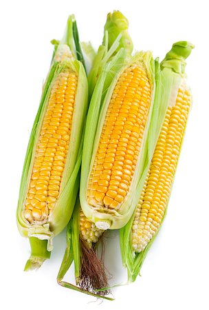 simsearch:400-04211564,k - Fresh corn with green leaf. Isolated on white background Photographie de stock - Aubaine LD & Abonnement, Code: 400-08022224