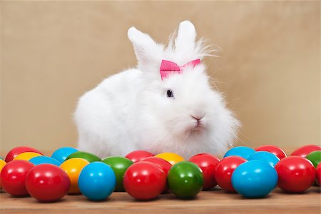 red dwarf - Cute easter bunny sitting among colorful eggs - on golden background Stock Photo - Budget Royalty-Free & Subscription, Code: 400-08036287