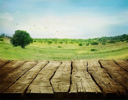 Spring green background. Grass and cloudscape art Design. Summer environmetal landscape concept. Stock Photo - Budget Royalty-Free & Subscription, Code: 400-08032582